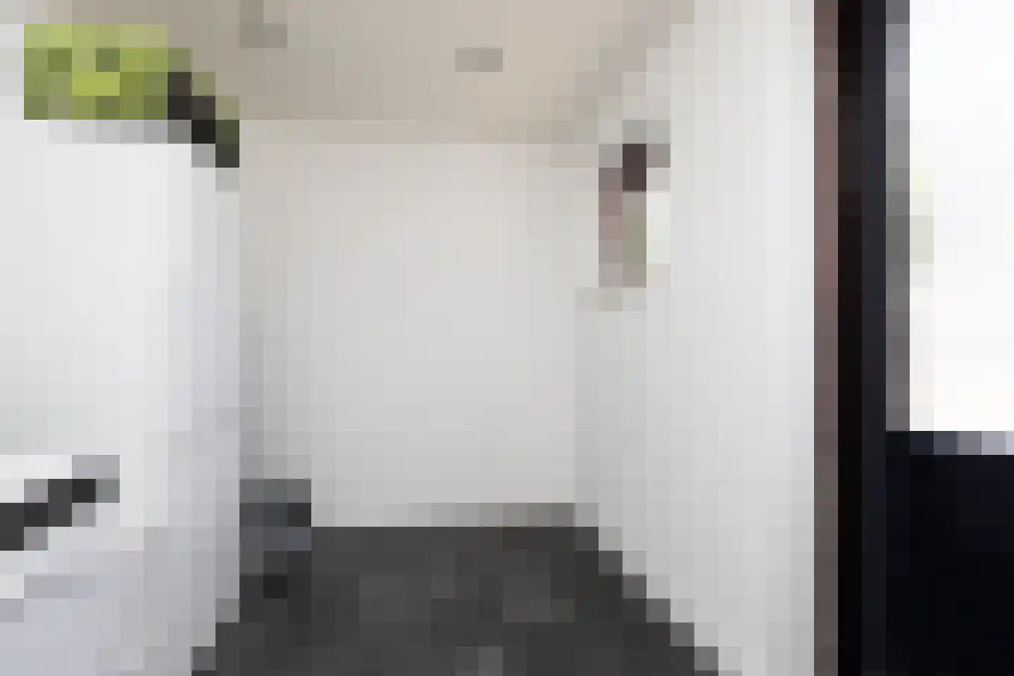 de Hoppen 137 Sneek thumbnail 11