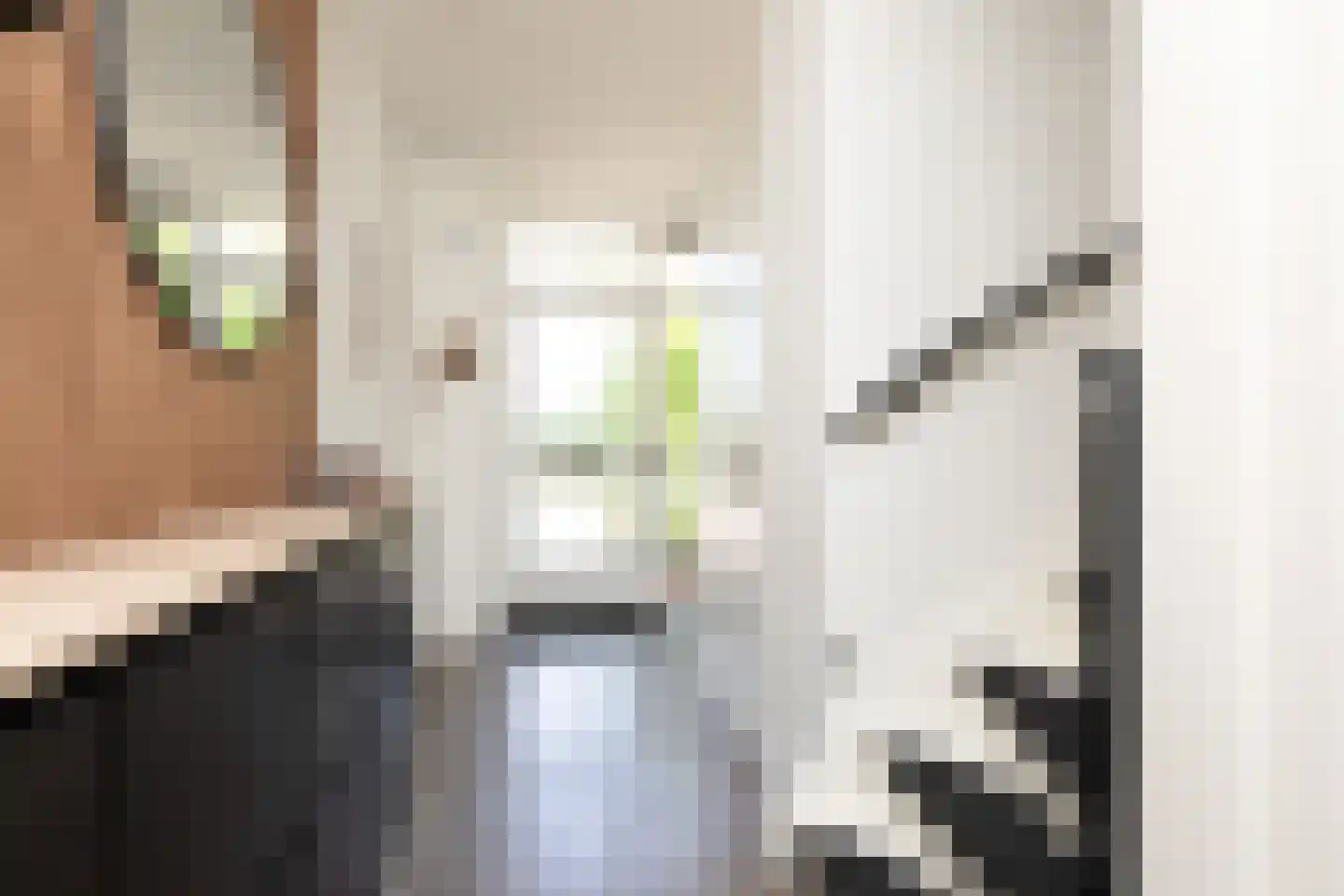 de Hoppen 137 Sneek thumbnail 12