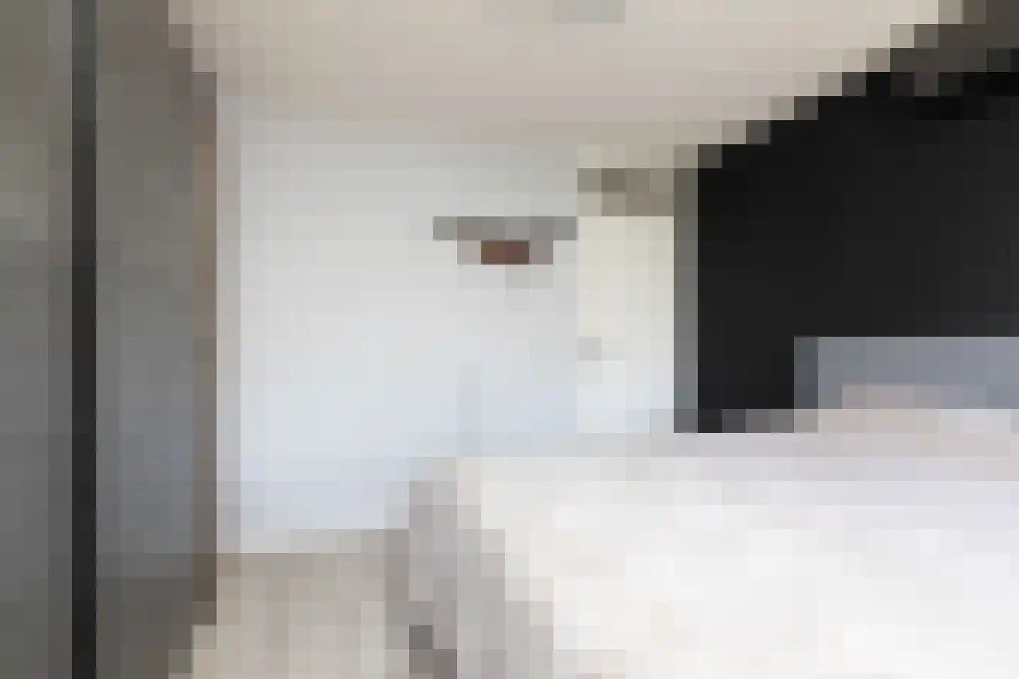 de Hoppen 137 Sneek thumbnail 18