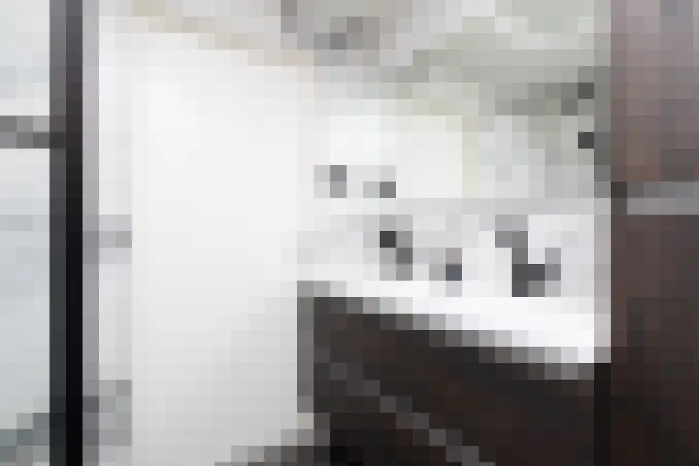 de Hoppen 137 Sneek thumbnail 21