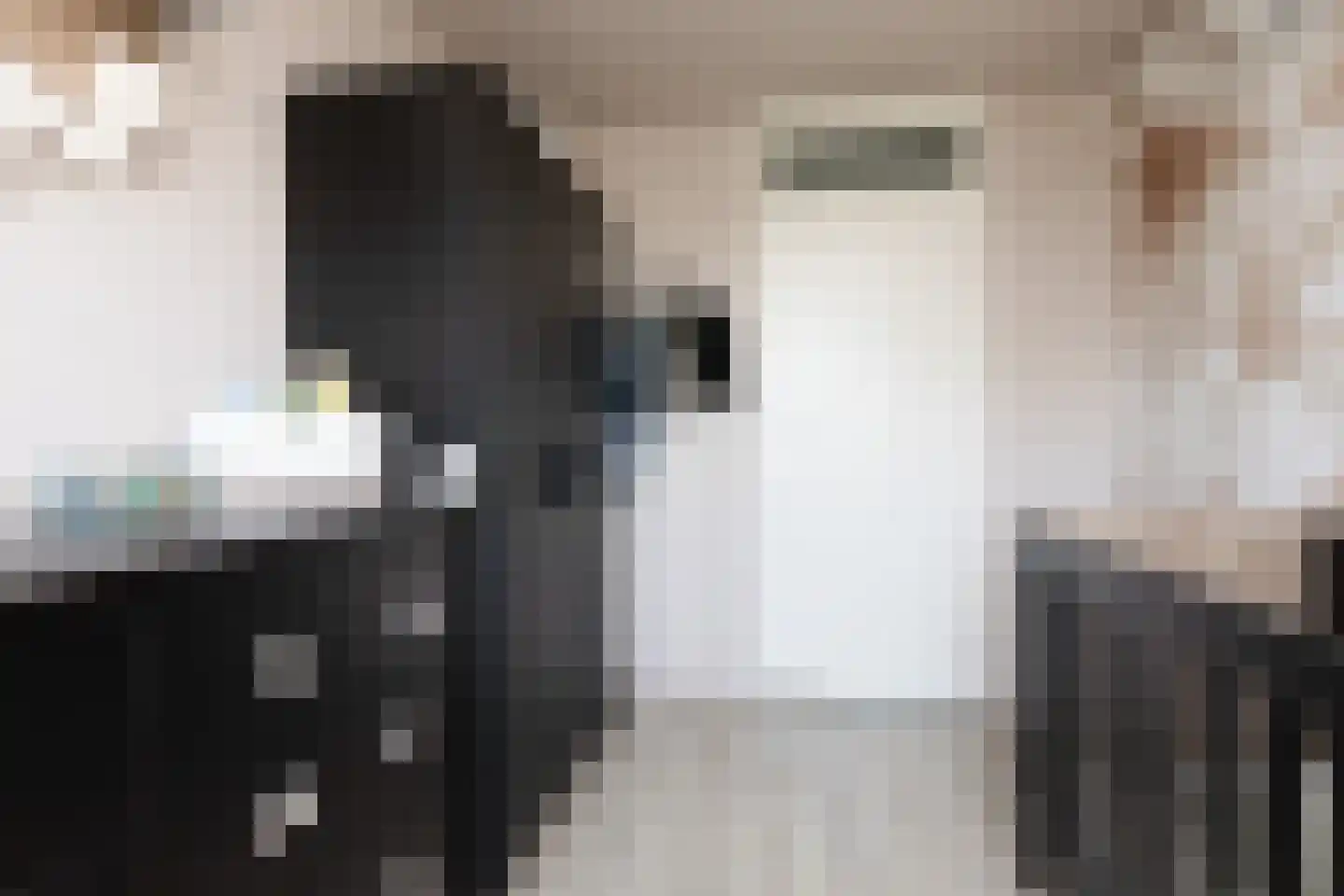 de Hoppen 137 Sneek thumbnail 27