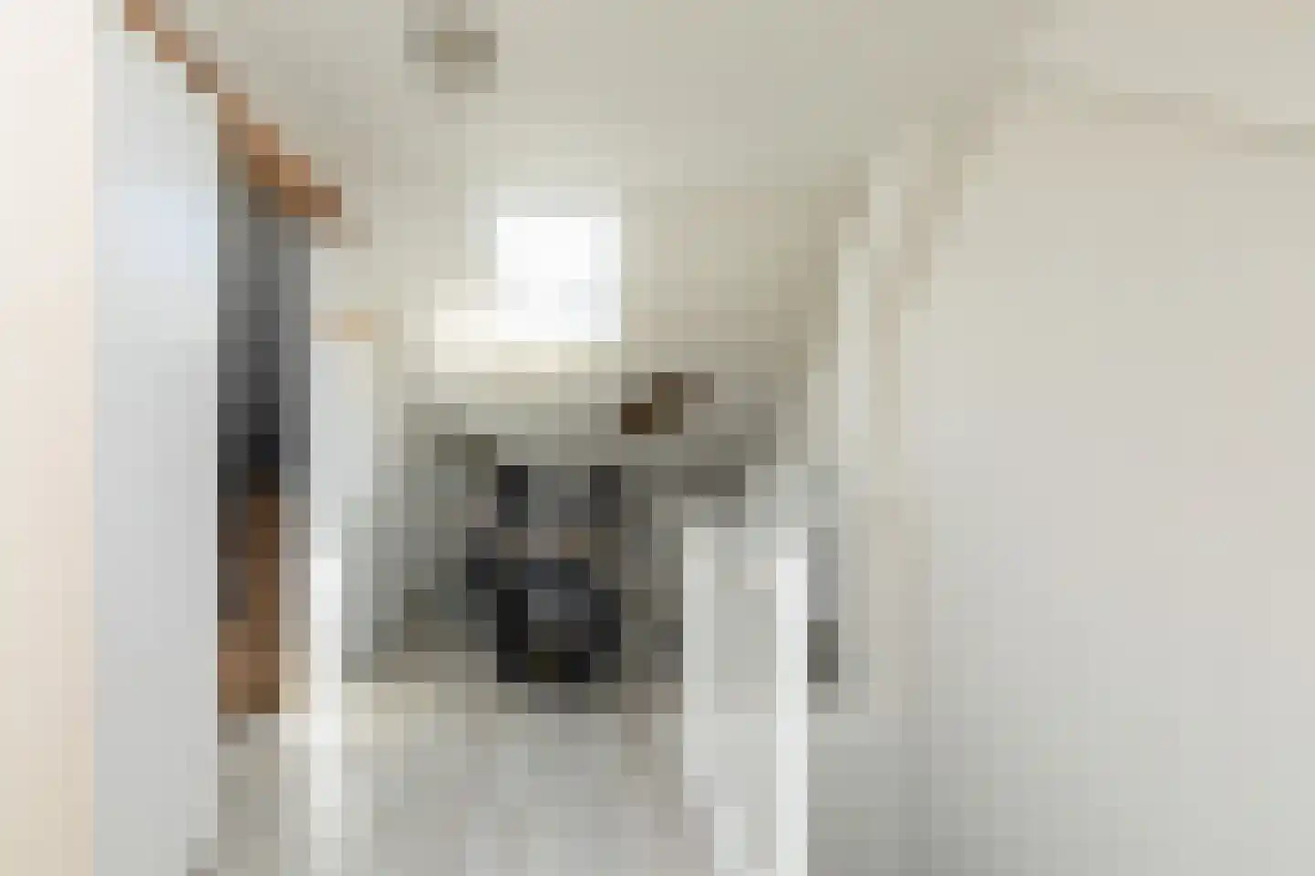 de Hoppen 137 Sneek thumbnail 31