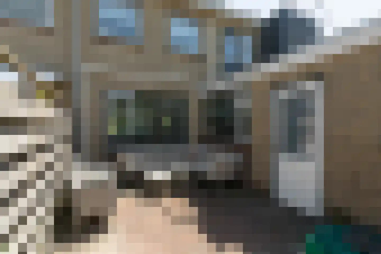de Hoppen 137 Sneek thumbnail 4
