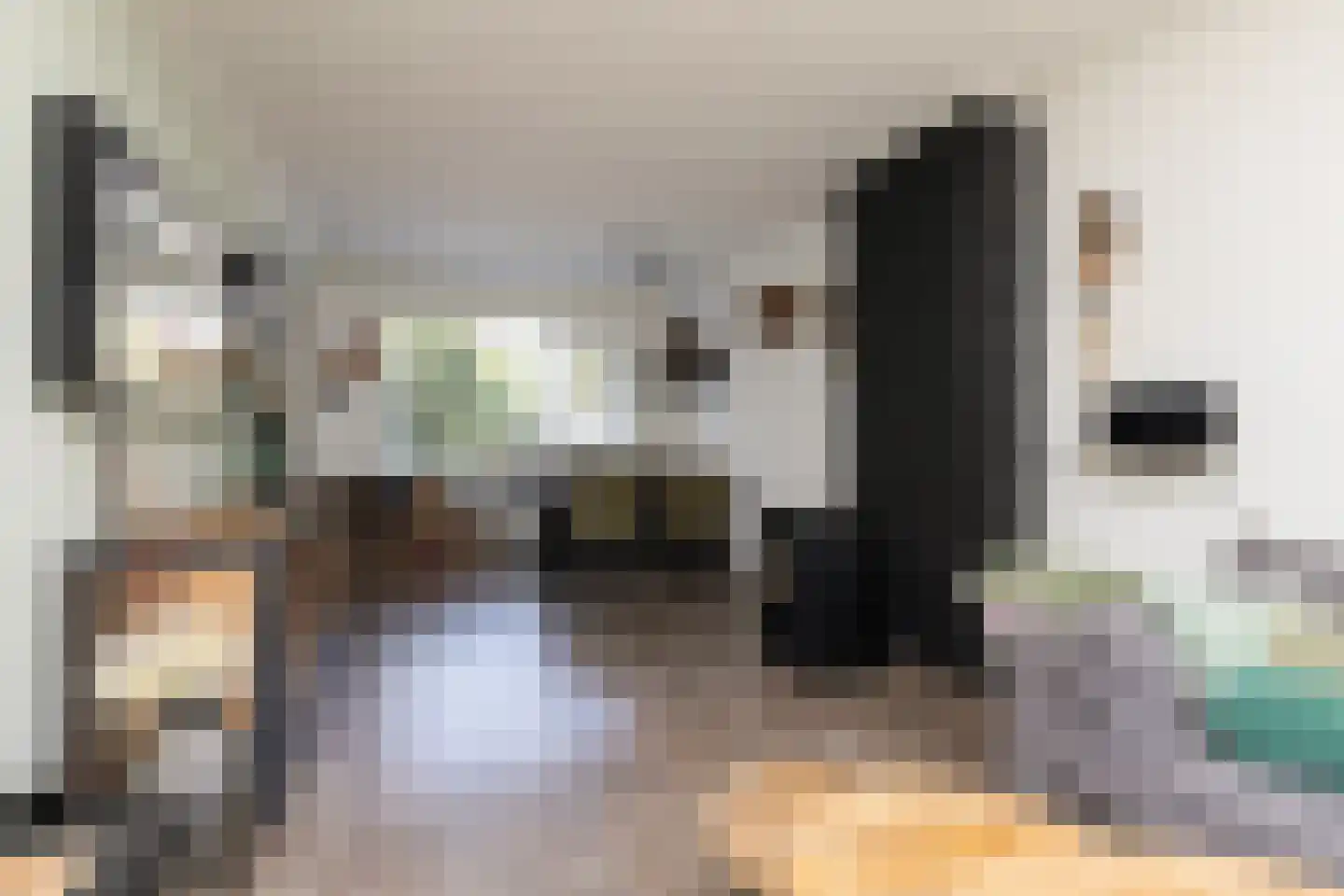 de Hoppen 137 Sneek thumbnail 7