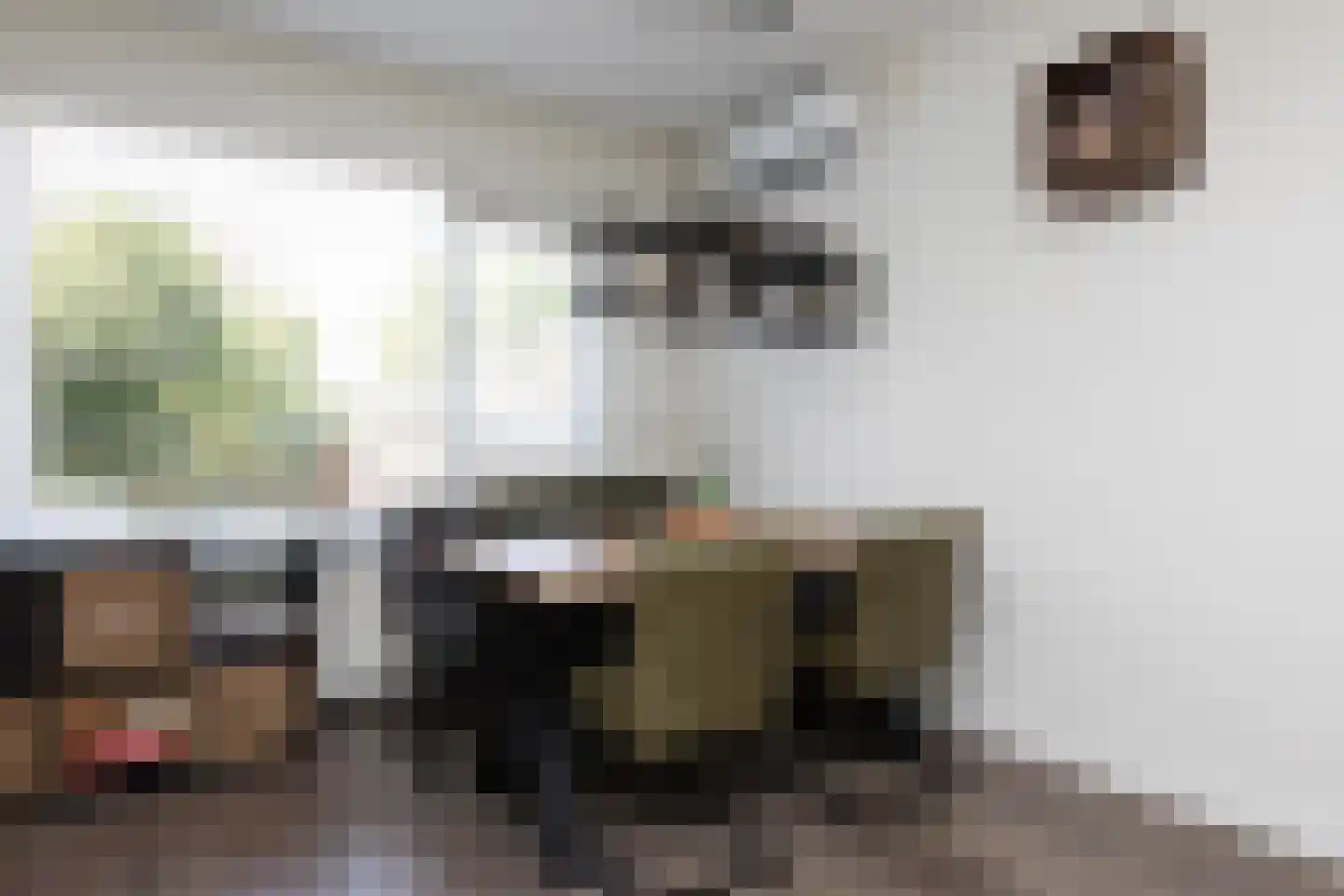 de Hoppen 137 Sneek thumbnail 8