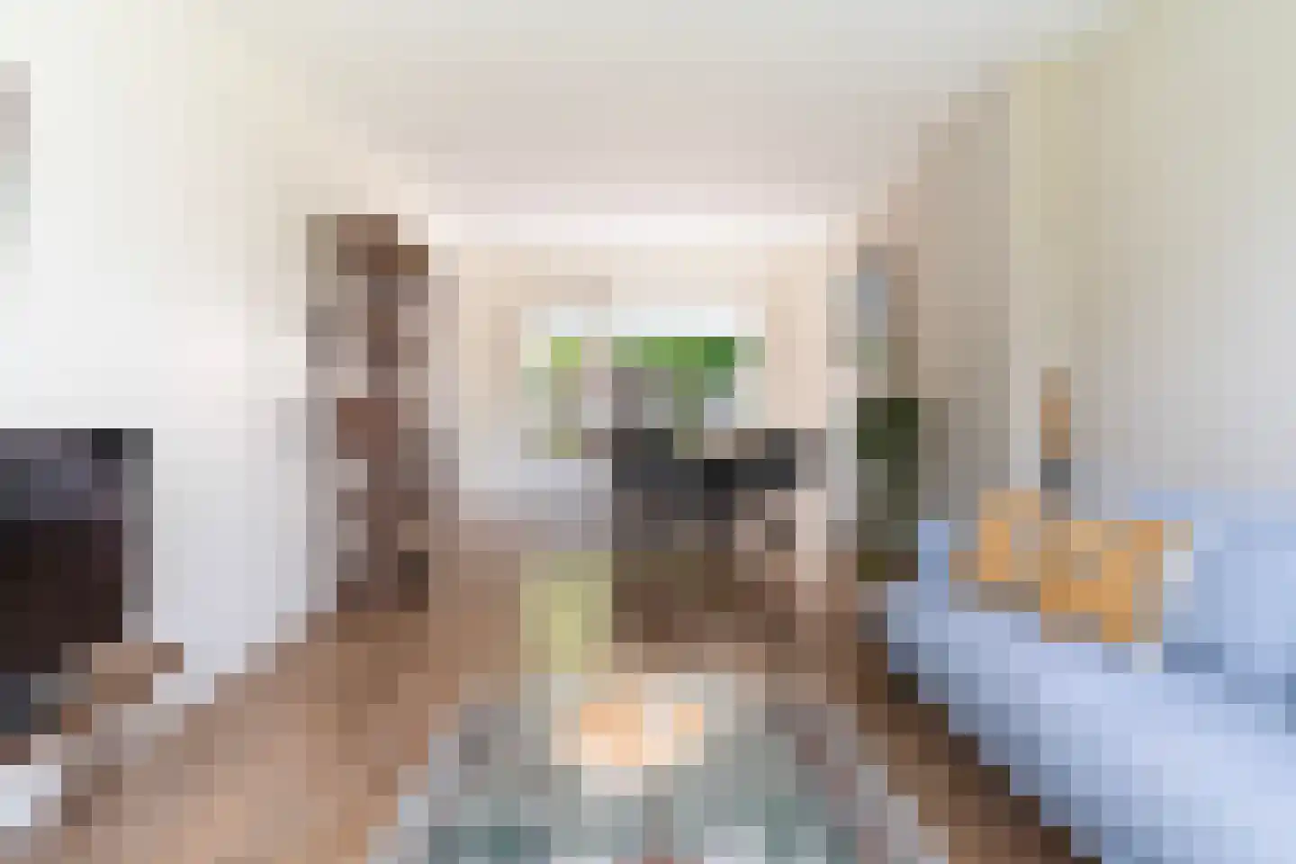 de Hoppen 15 Sneek thumbnail 12