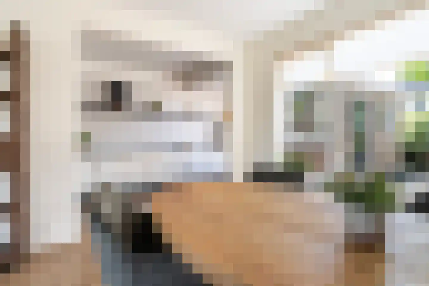 de Hoppen 15 Sneek thumbnail 16