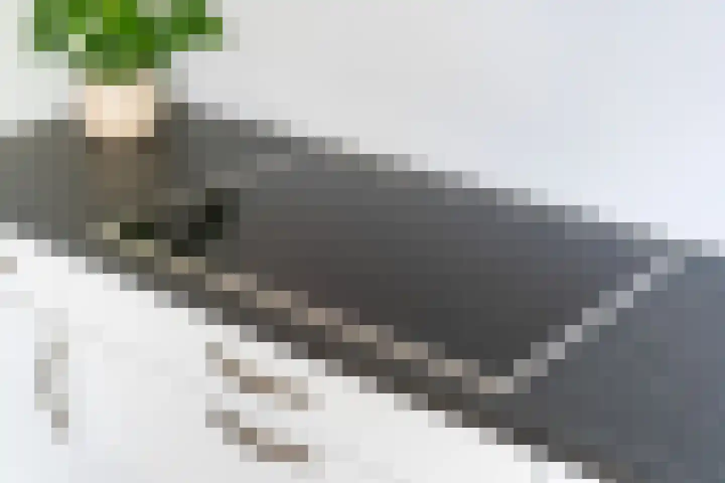 de Hoppen 15 Sneek thumbnail 20