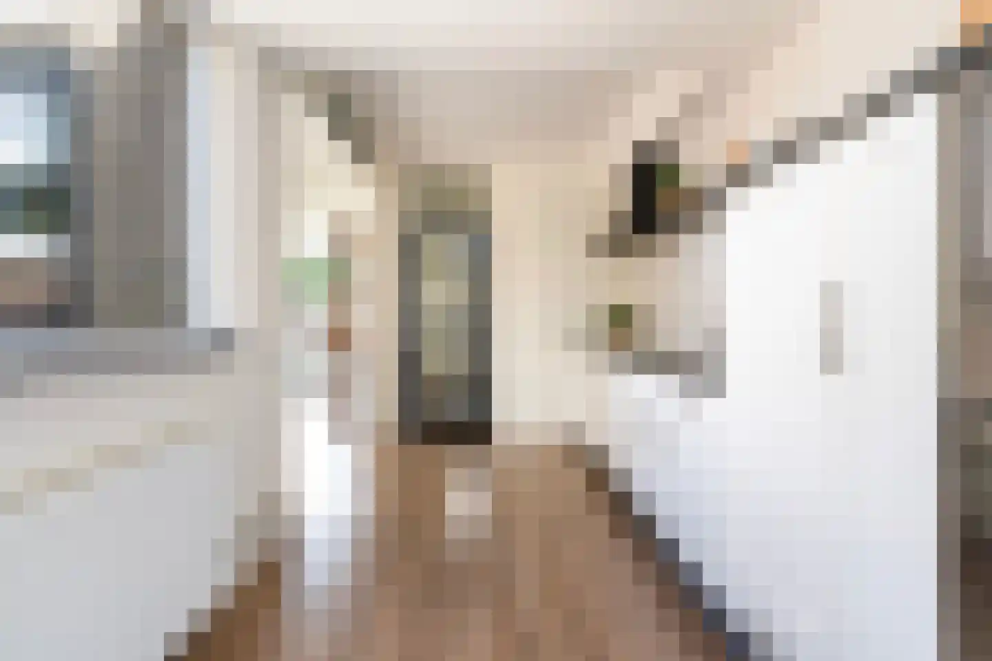 de Hoppen 15 Sneek thumbnail 21