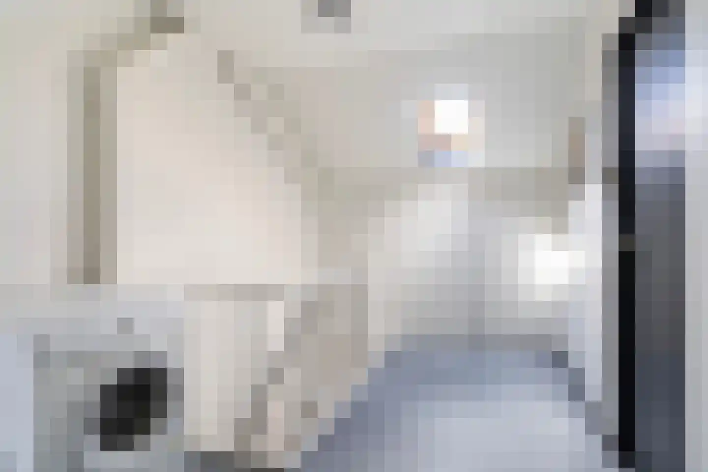 de Hoppen 15 Sneek thumbnail 35