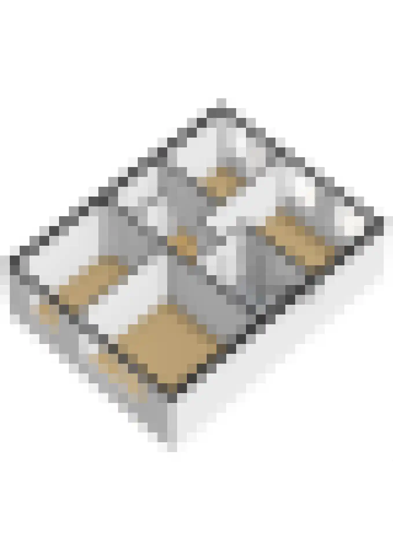 de Hoppen 15 Sneek thumbnail 58