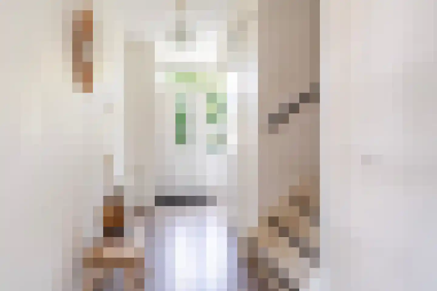 de Hoppen 15 Sneek thumbnail 6
