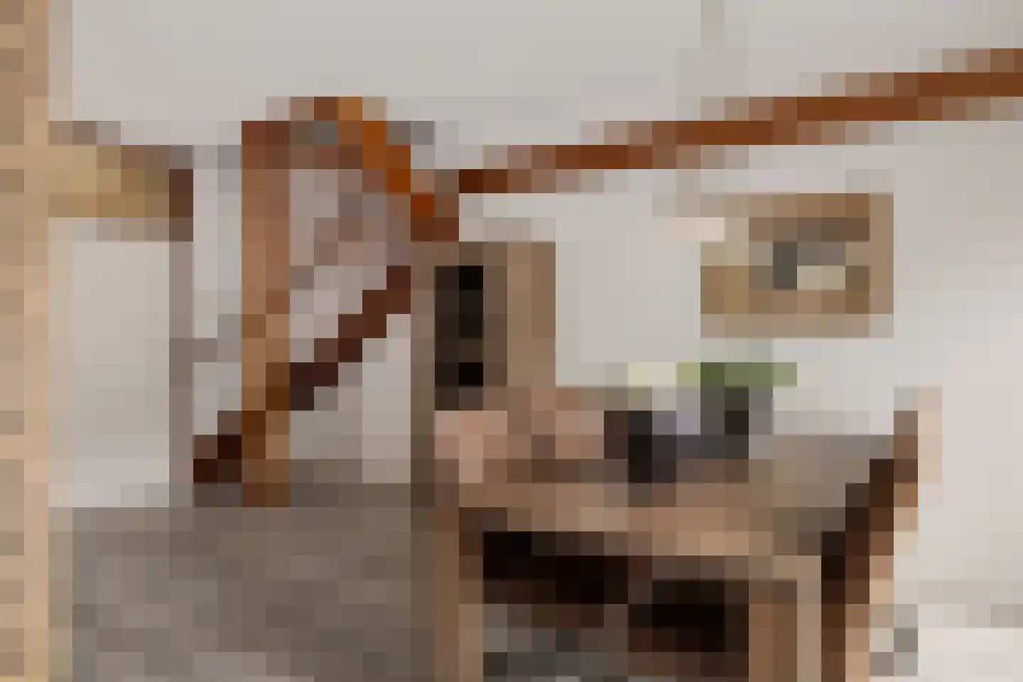 de Hoppen 67 Sneek thumbnail 12