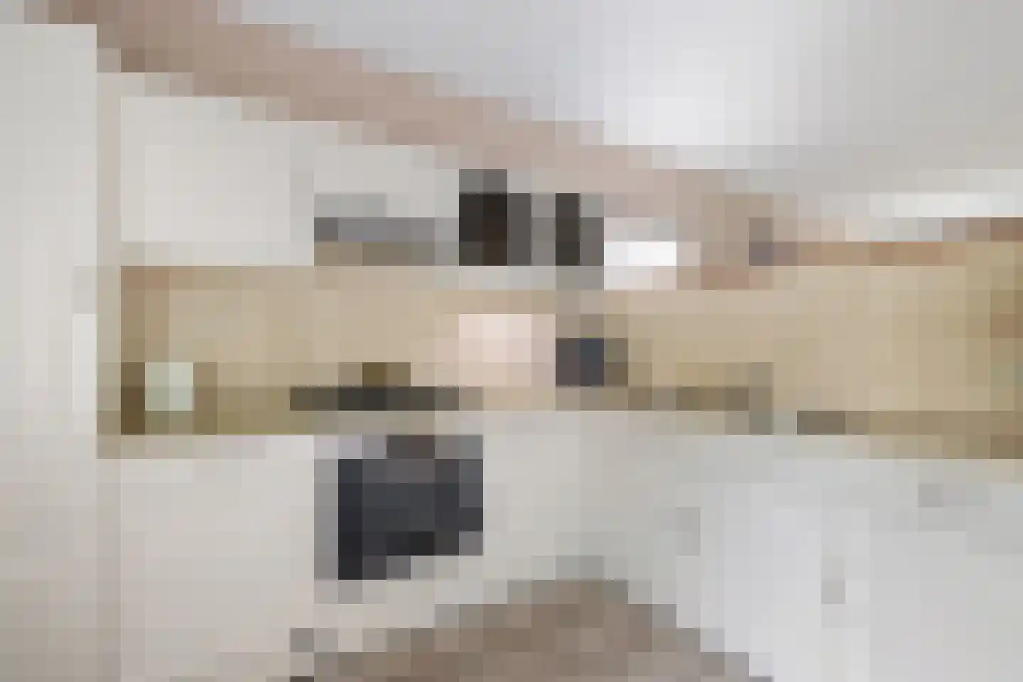 de Hoppen 67 Sneek thumbnail 14