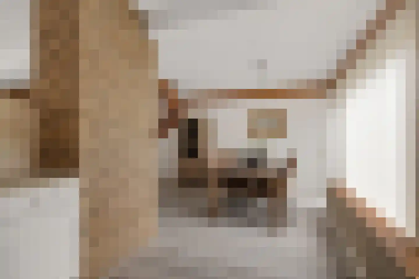 de Hoppen 67 Sneek thumbnail 15