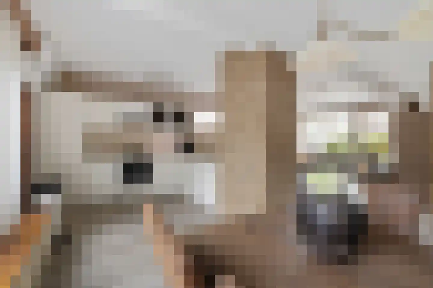 de Hoppen 67 Sneek thumbnail 16