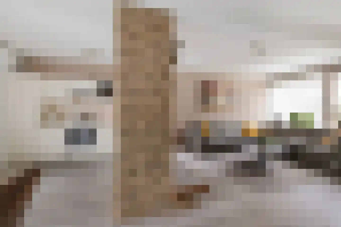 de Hoppen 67 Sneek thumbnail 17