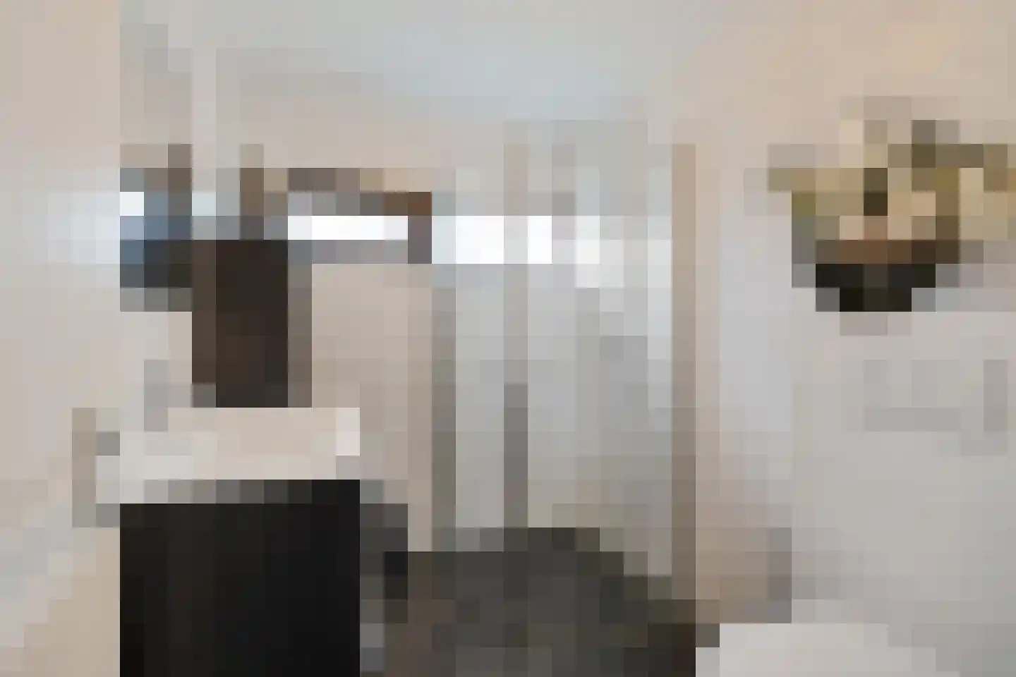 de Hoppen 67 Sneek thumbnail 25