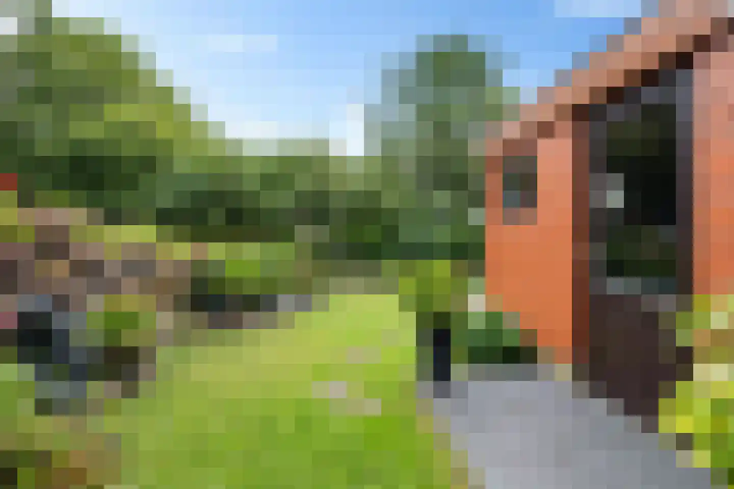 de Hoppen 67 Sneek thumbnail 32