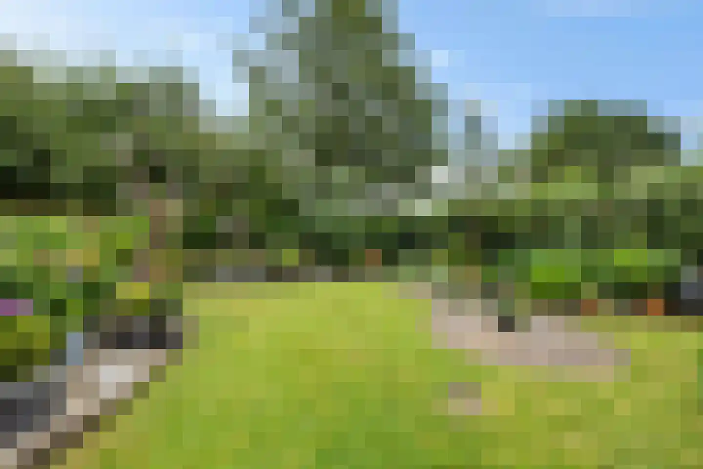 de Hoppen 67 Sneek thumbnail 33