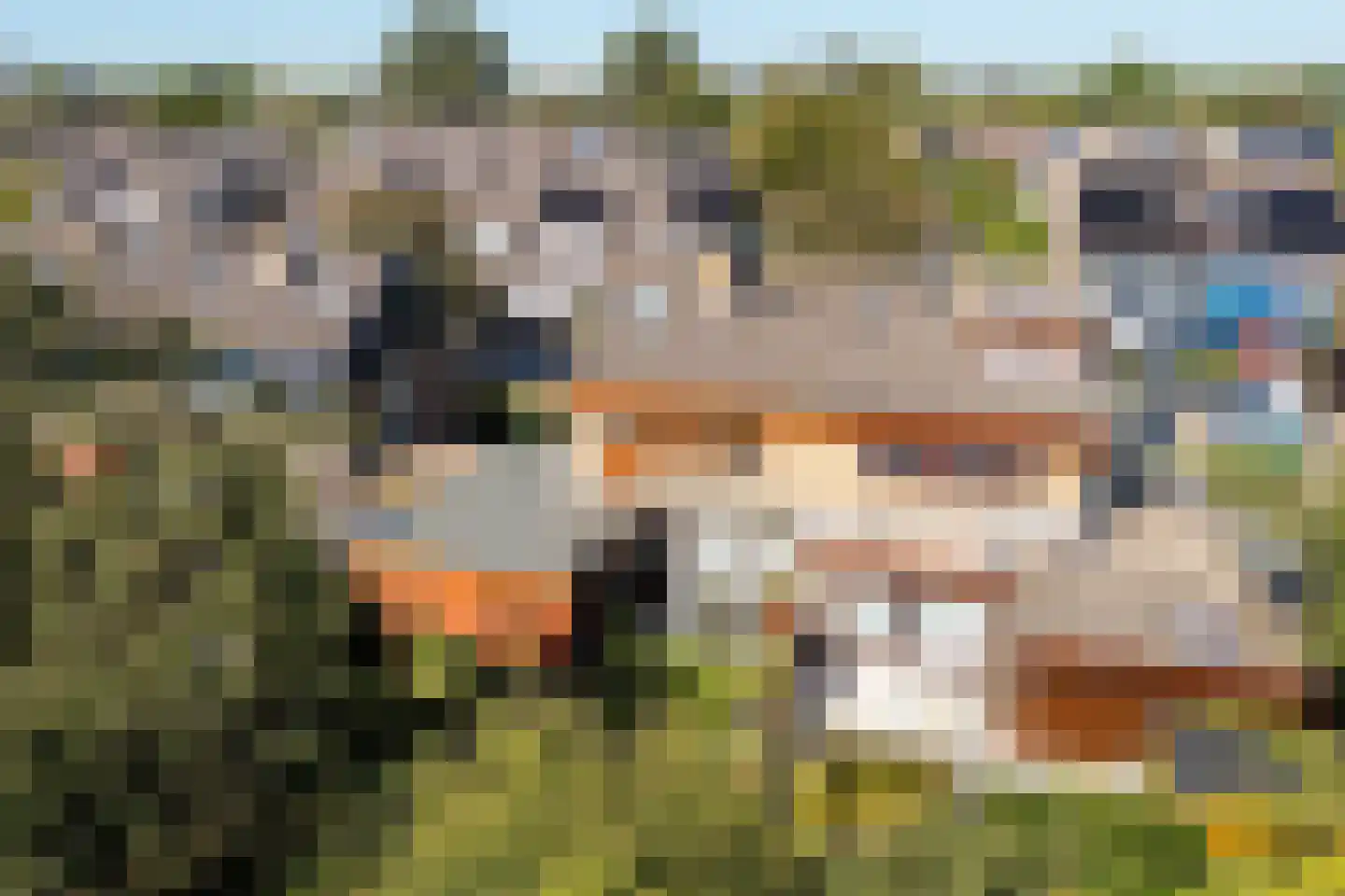 de Hoppen 67 Sneek thumbnail 43