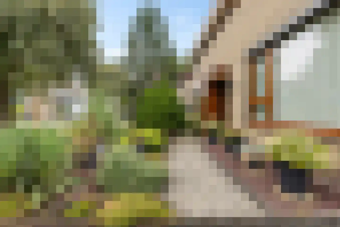 de Hoppen 67 Sneek thumbnail 47