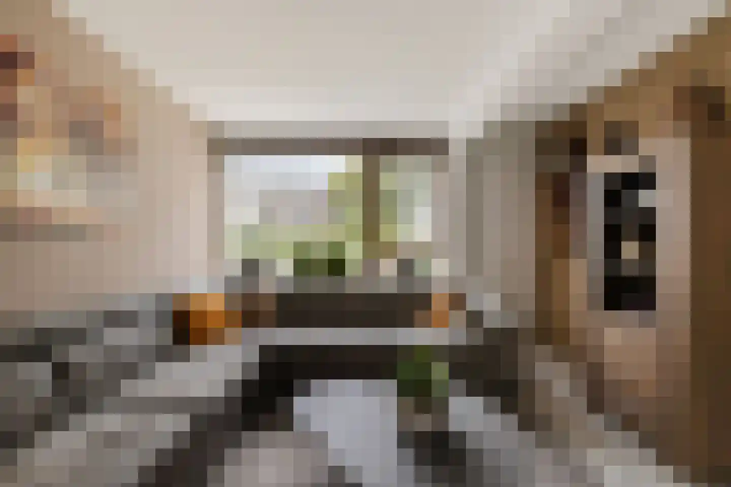 de Hoppen 67 Sneek thumbnail 6
