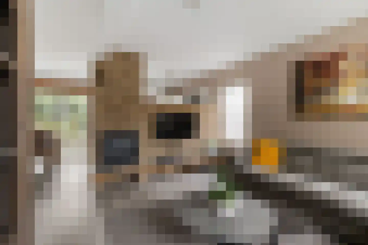 de Hoppen 67 Sneek thumbnail 7