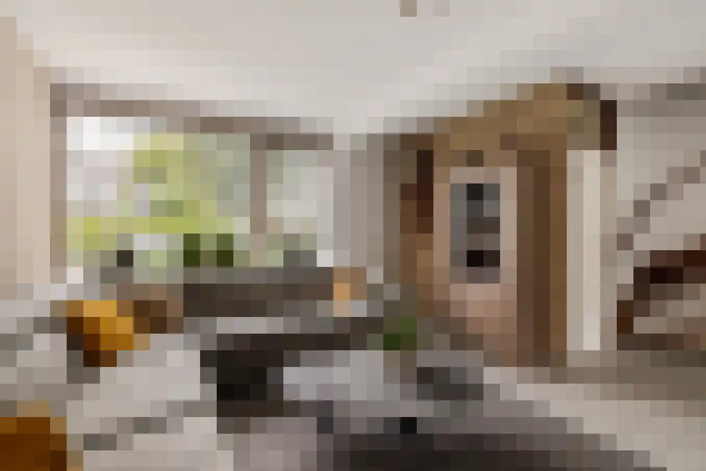 de Hoppen 67 Sneek thumbnail 8