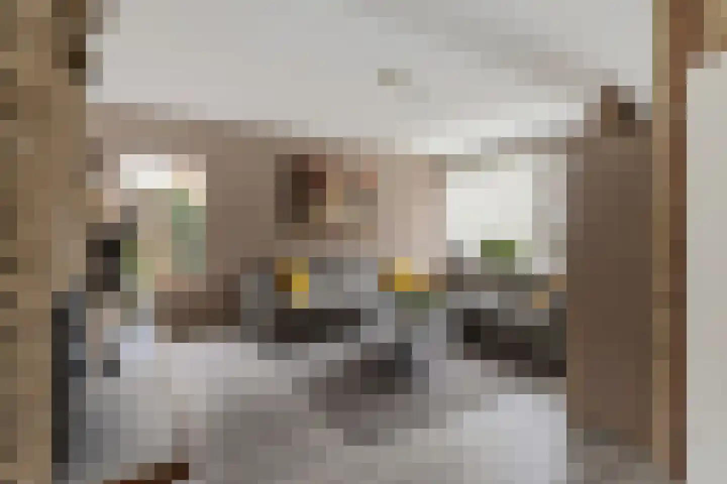 de Hoppen 67 Sneek thumbnail 9