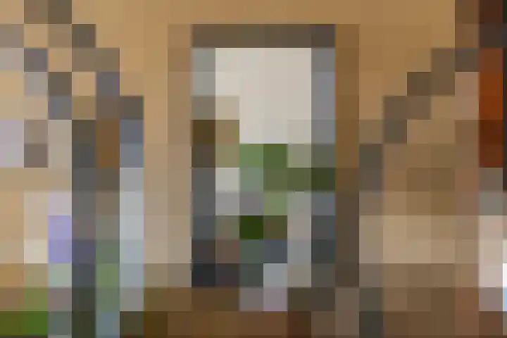 de Horde 42 Tiel thumbnail 10