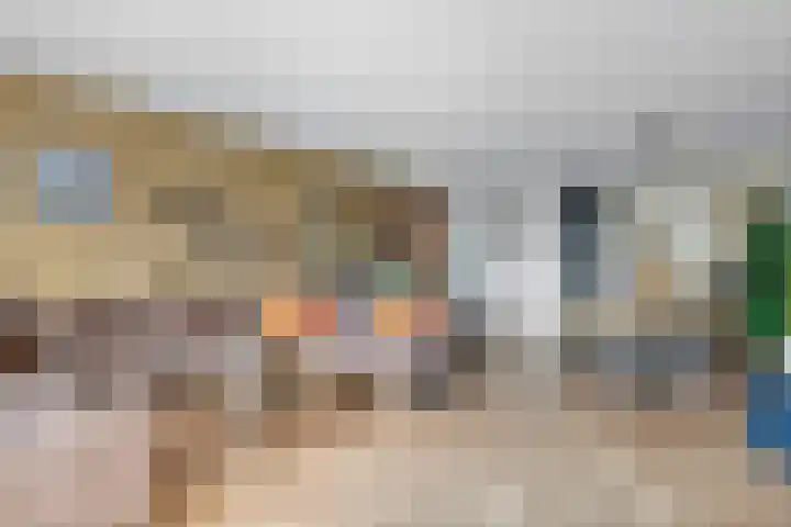 de Horde 42 Tiel thumbnail 11