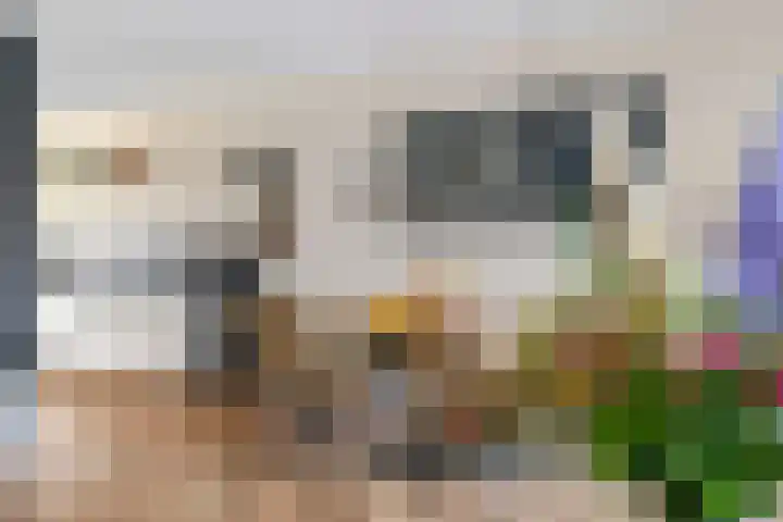 de Horde 42 Tiel thumbnail 12