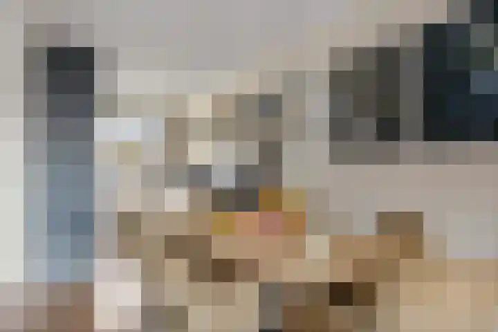 de Horde 42 Tiel thumbnail 13