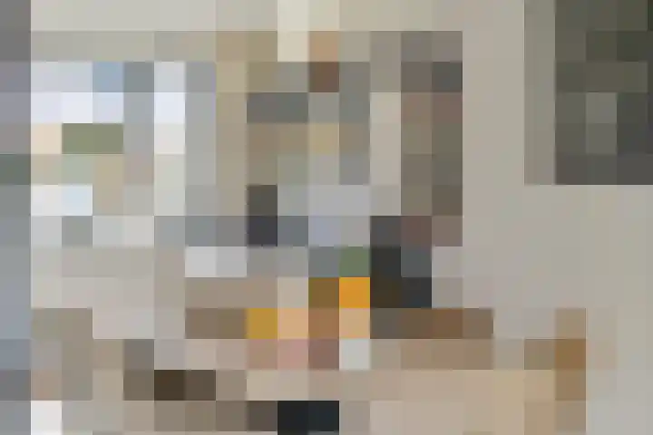 de Horde 42 Tiel thumbnail 14