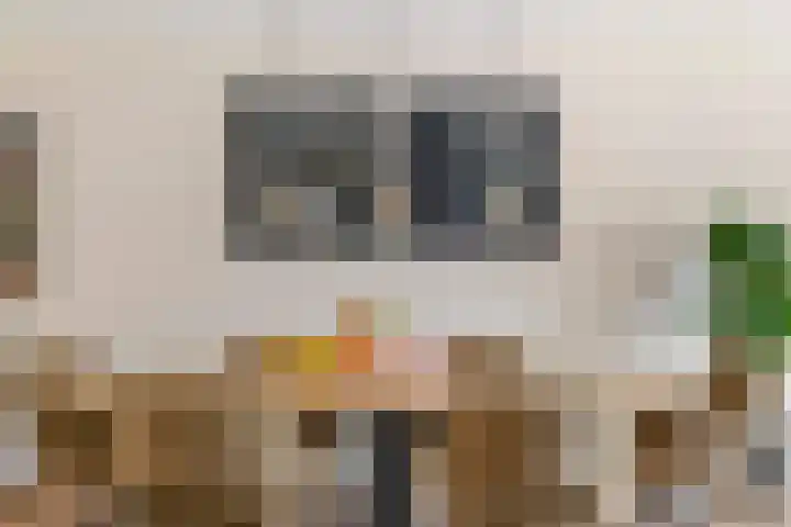 de Horde 42 Tiel thumbnail 15