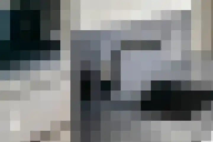 de Horde 42 Tiel thumbnail 17