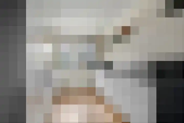 de Horde 42 Tiel thumbnail 18