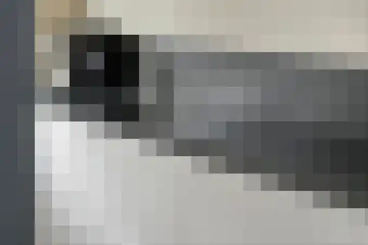 de Horde 42 Tiel thumbnail 20