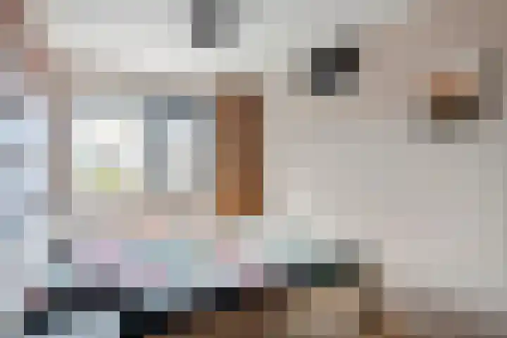 de Horde 42 Tiel thumbnail 24