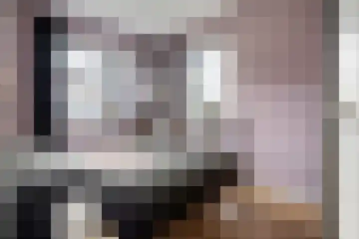 de Horde 42 Tiel thumbnail 26