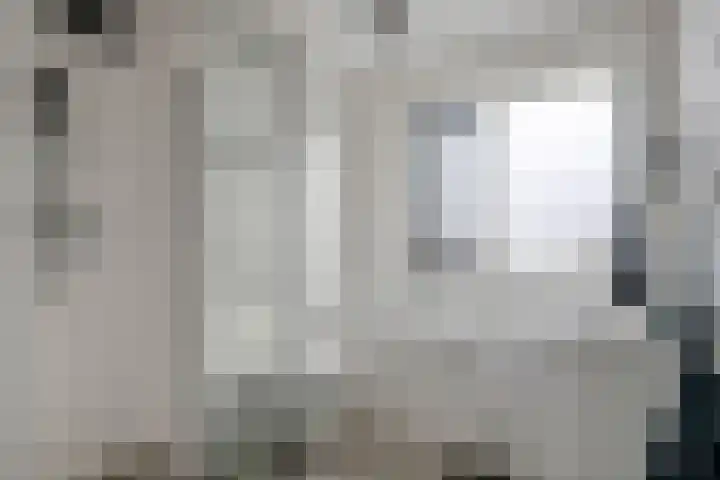de Horde 42 Tiel thumbnail 30