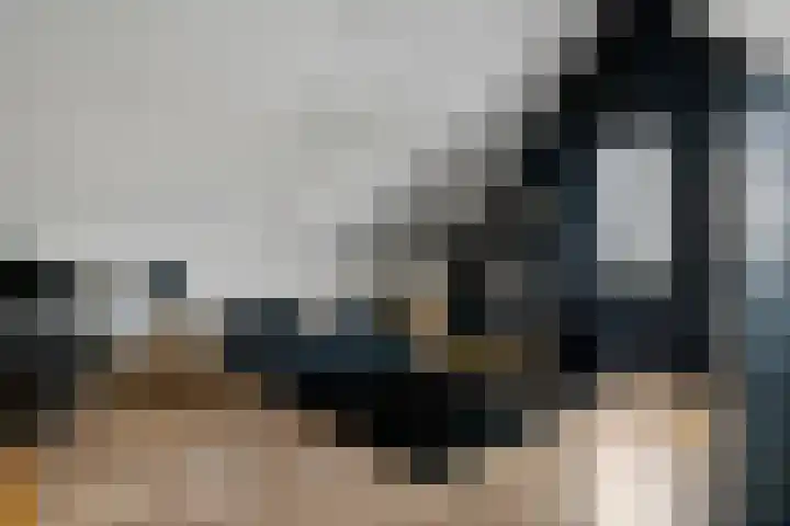 de Horde 42 Tiel thumbnail 32