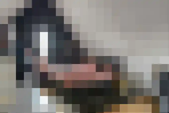 de Horde 42 Tiel thumbnail 34