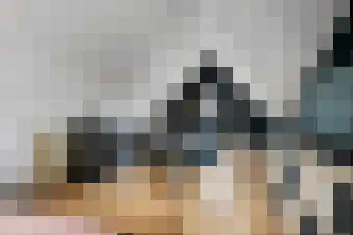 de Horde 42 Tiel thumbnail 35