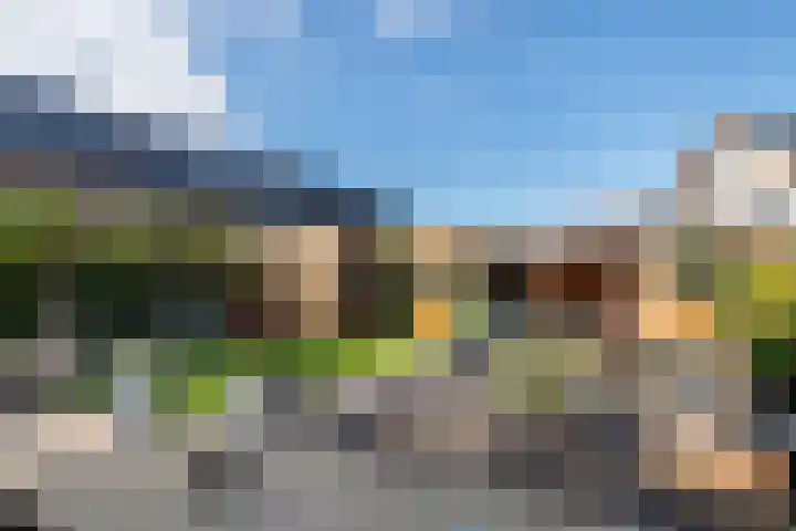 de Horde 42 Tiel thumbnail 37