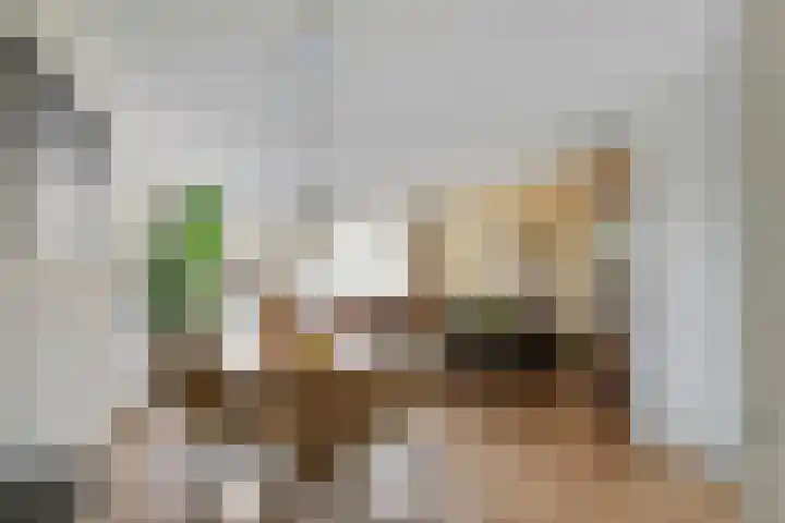 de Horde 42 Tiel thumbnail 4