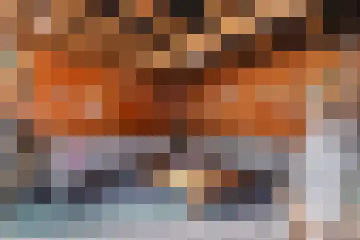 de Horde 42 Tiel thumbnail 41