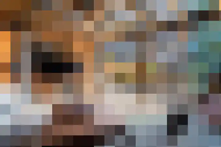 de Horde 42 Tiel thumbnail 42