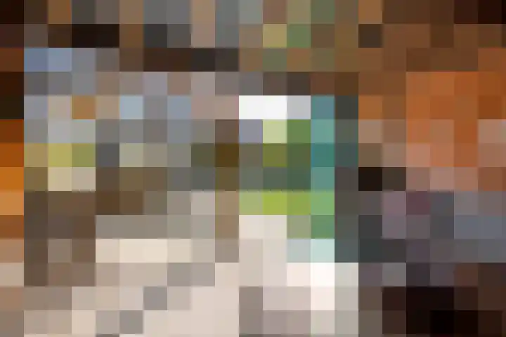de Horde 42 Tiel thumbnail 43